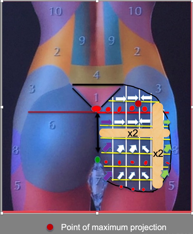 scheme-feminization-female-butts
