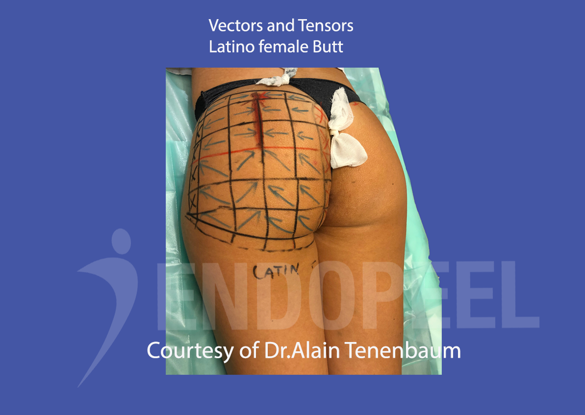 latino female butt vectors-not sportly woman