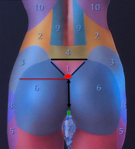 the horizontal red line