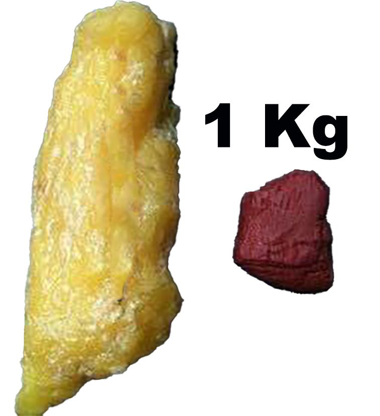 1 kg fat vs 1 kg muscle